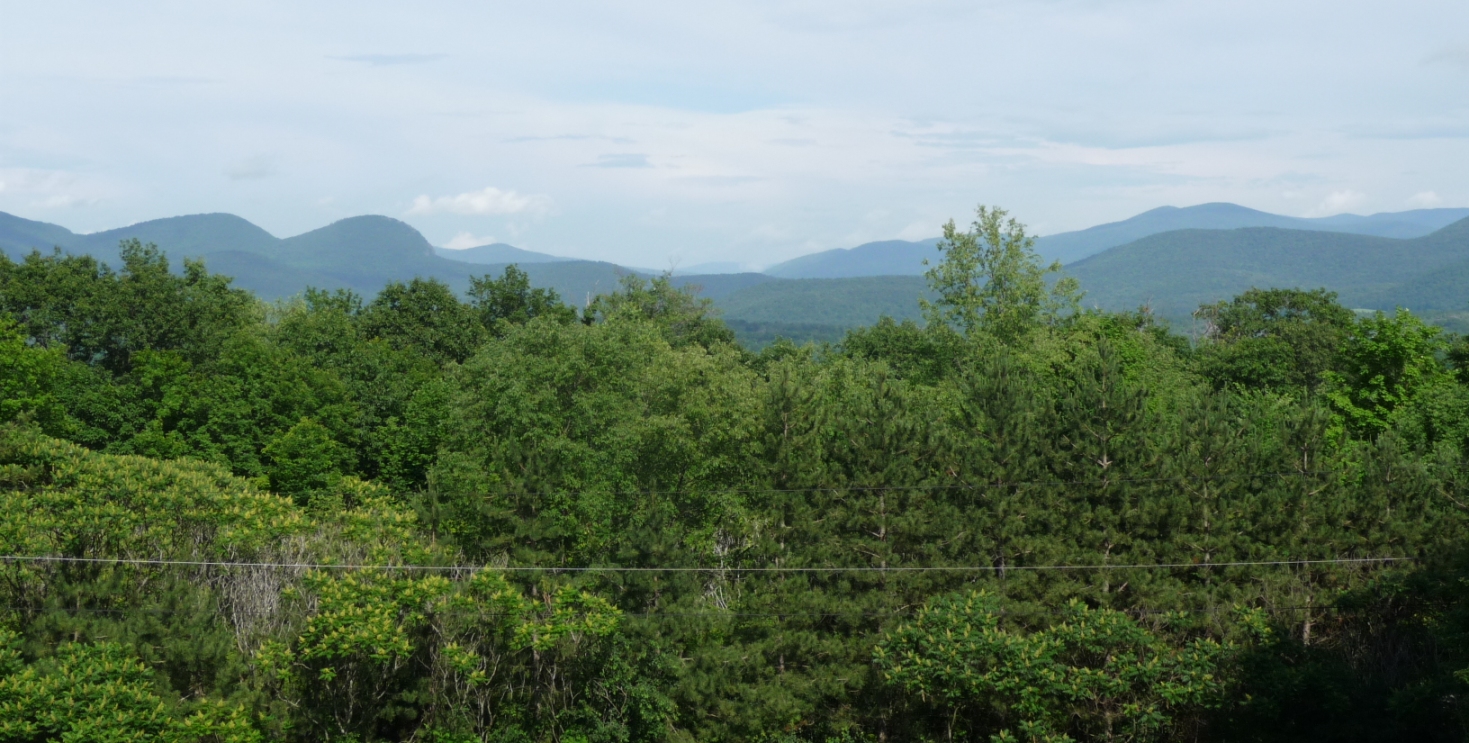 Click for larger photo