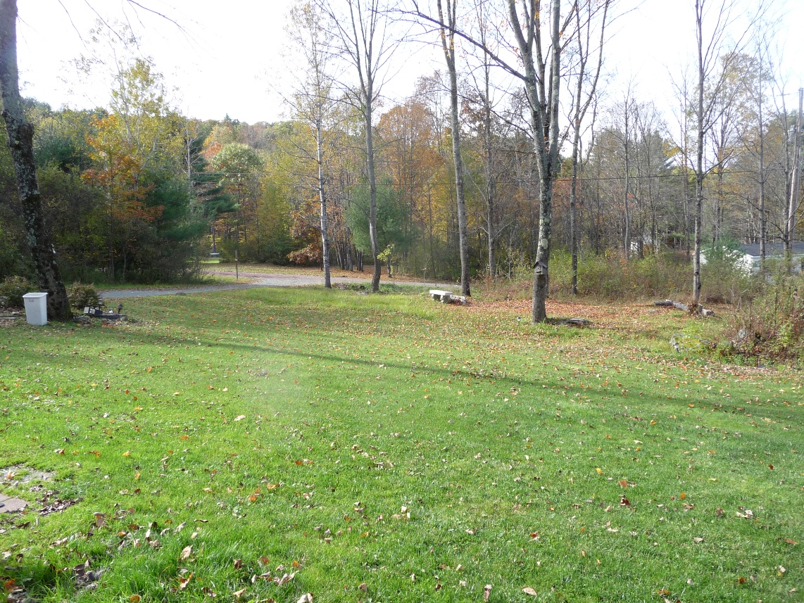 Click for larger photo