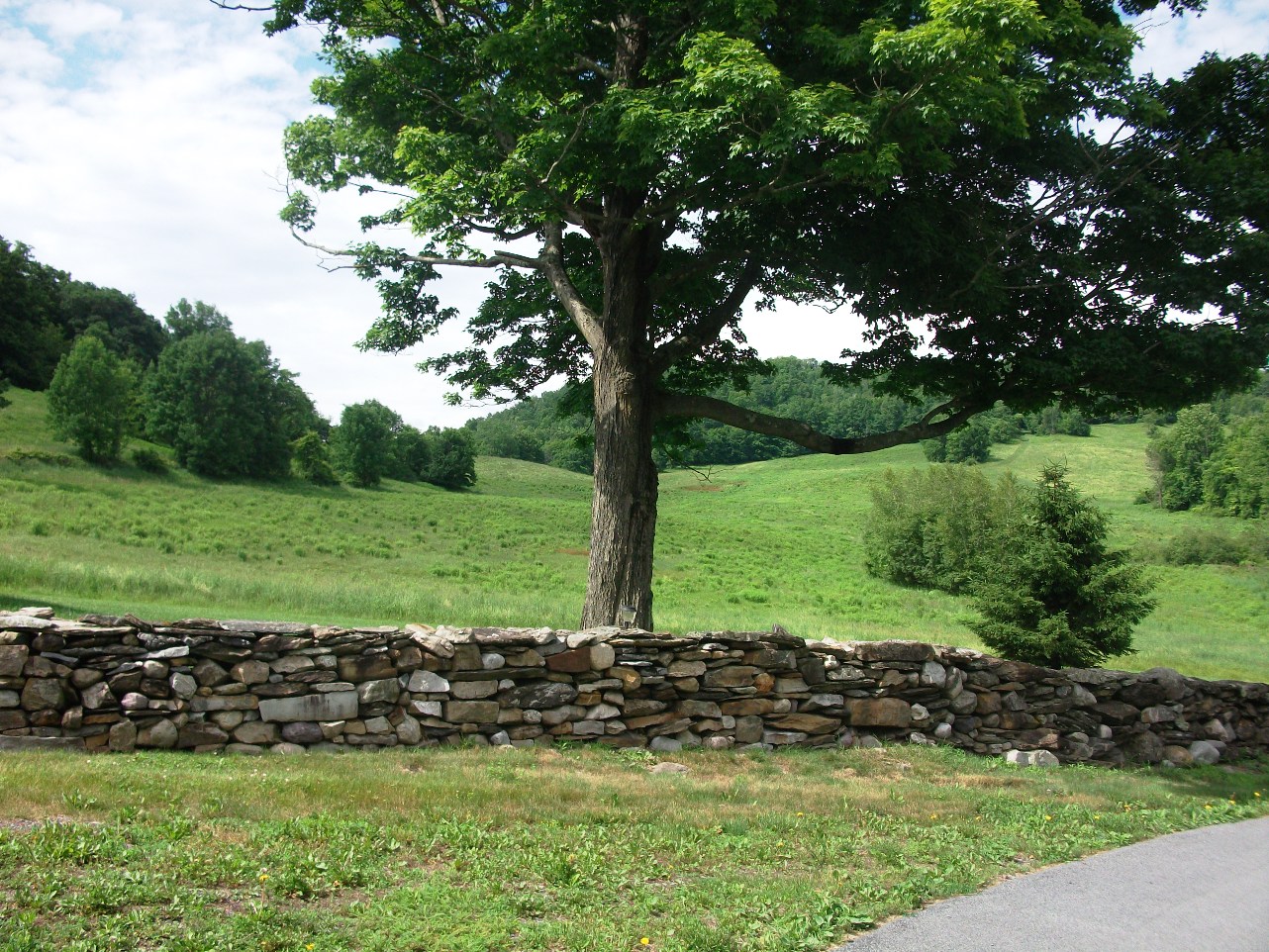 Click for larger photo