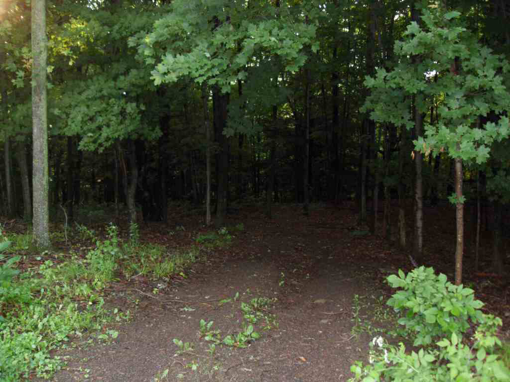 Click for larger photo