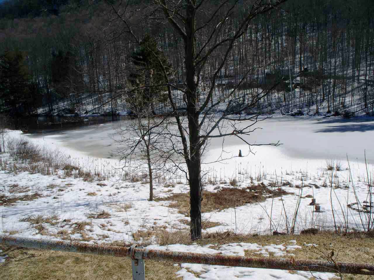 Click for larger photo