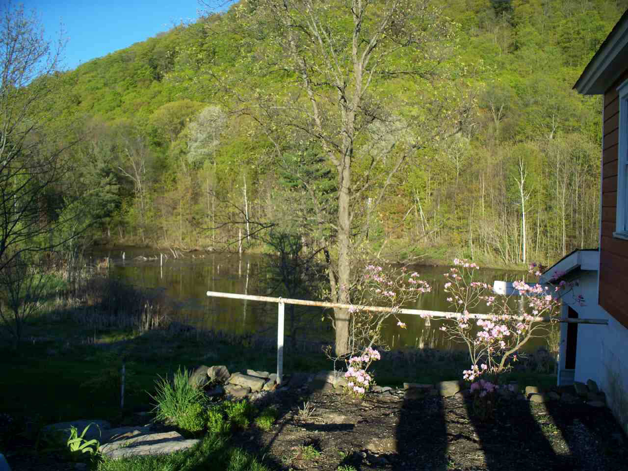 Click for larger photo