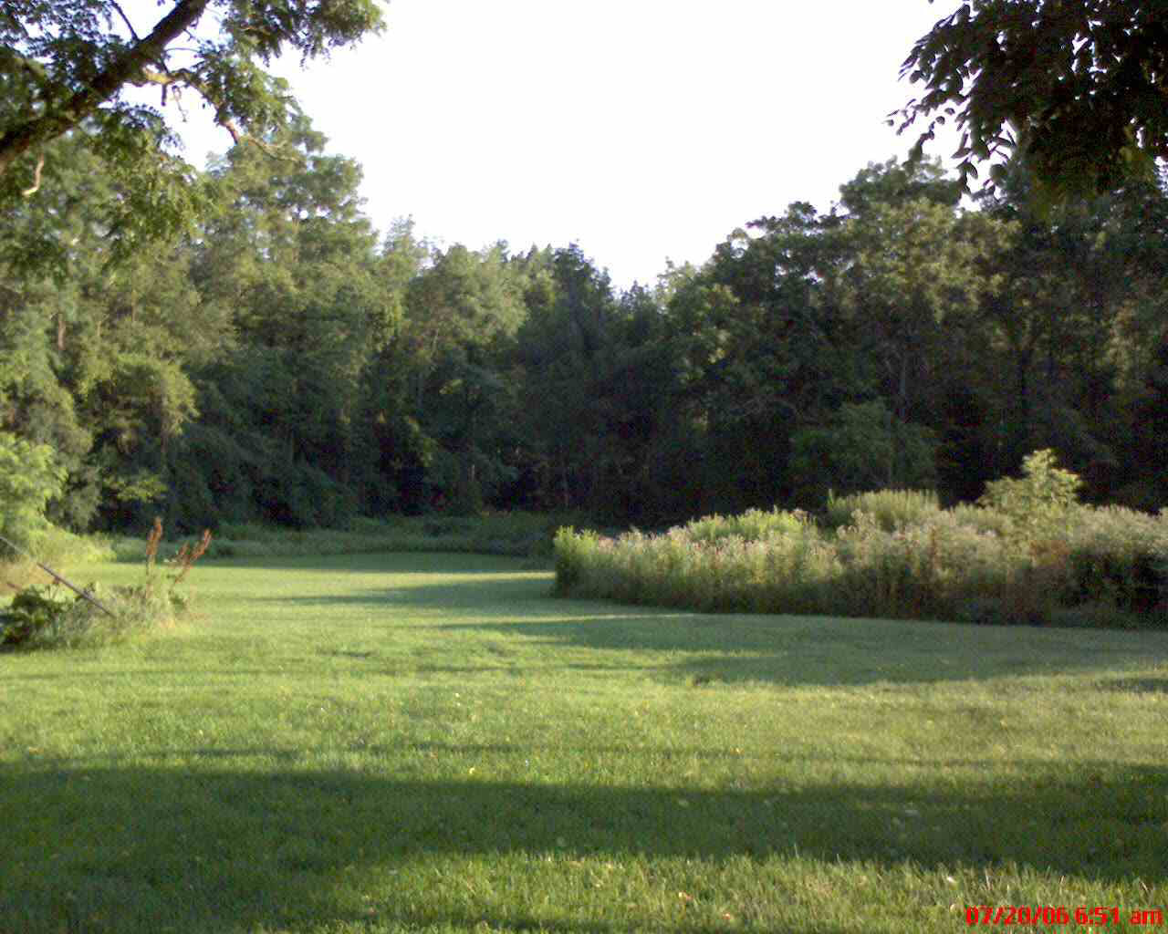 Click for larger photo
