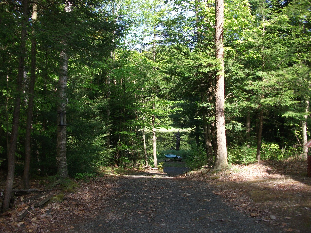 Click for larger photo