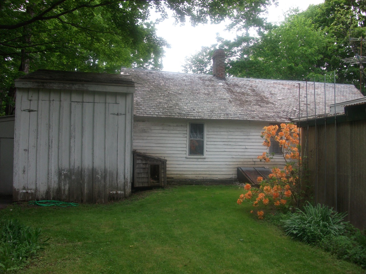 Click for larger photo