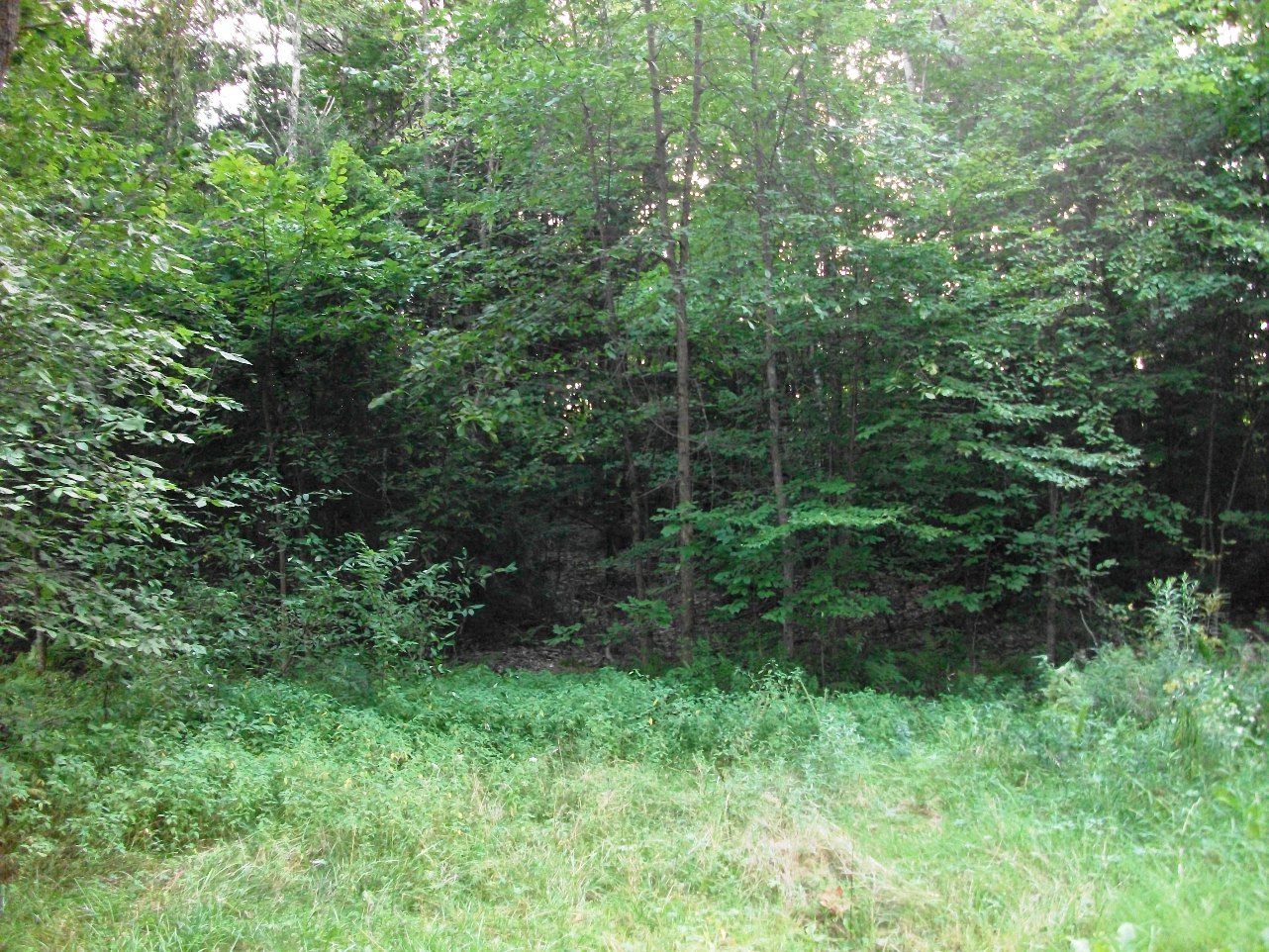 Click for larger photo