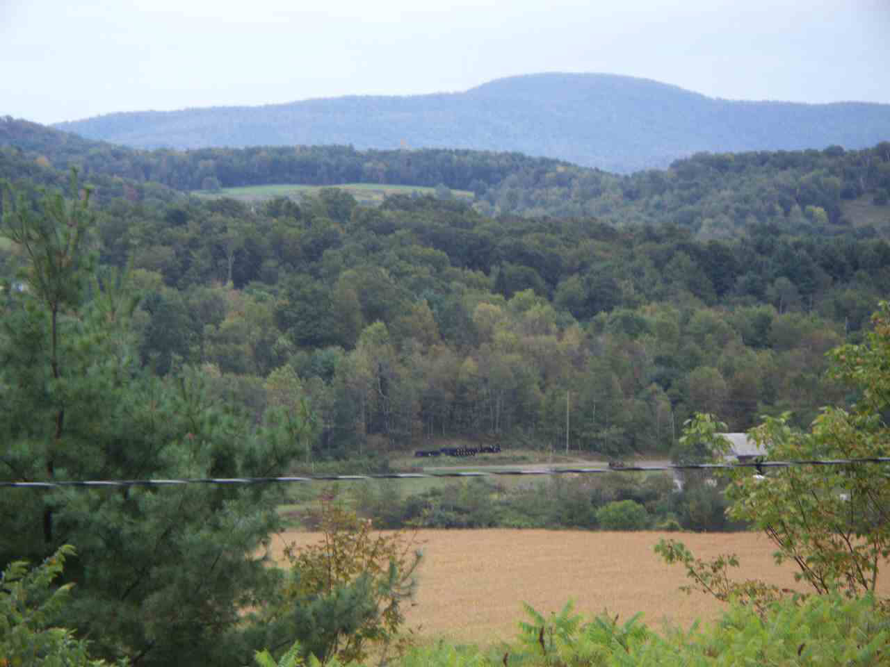 Click for larger photo
