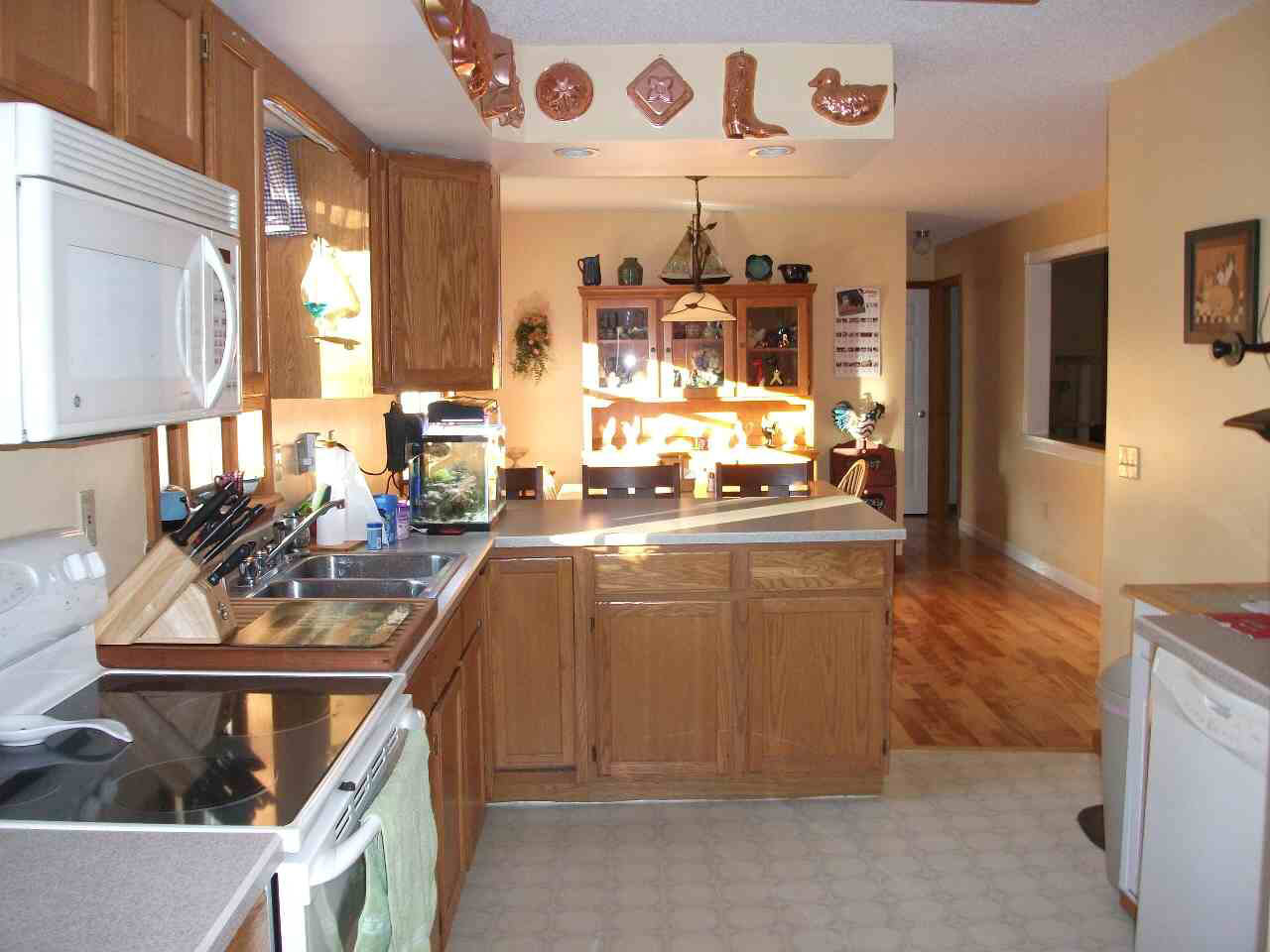 Click for larger photo