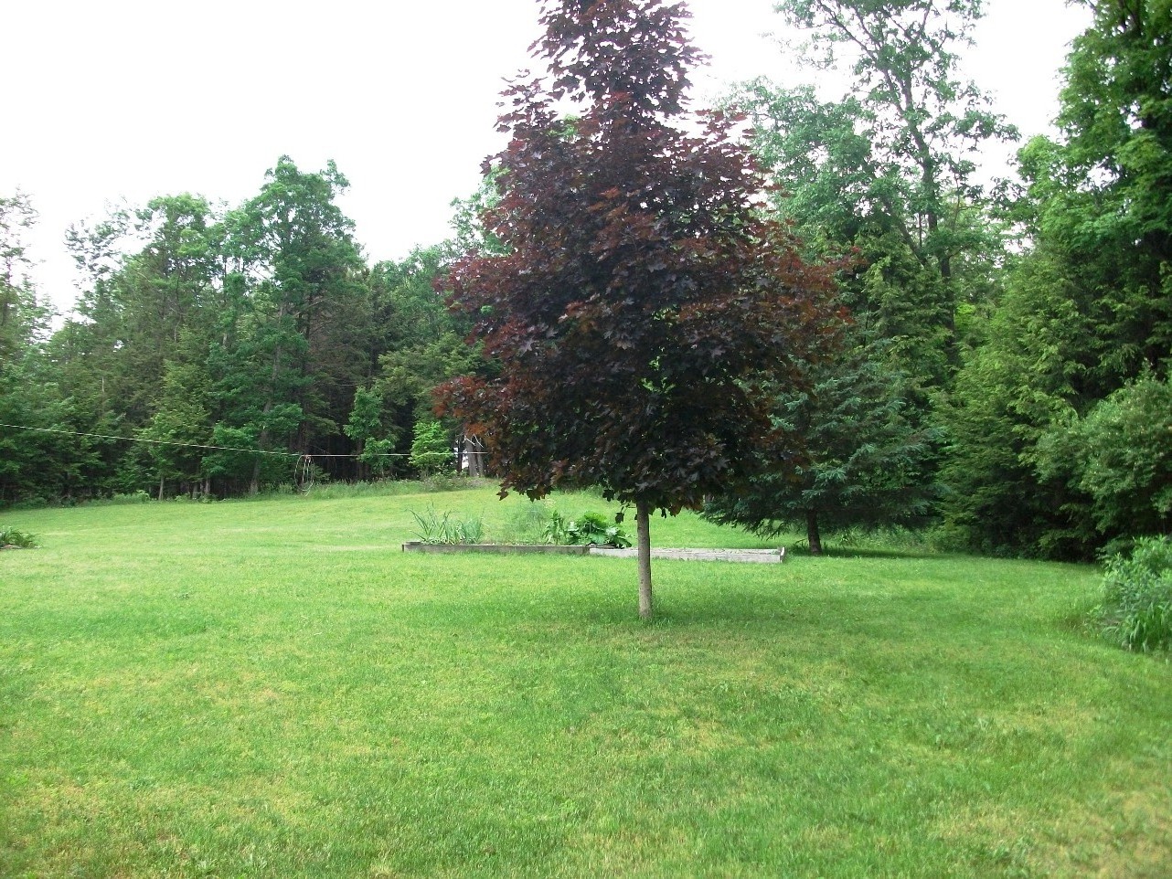 Click for larger photo