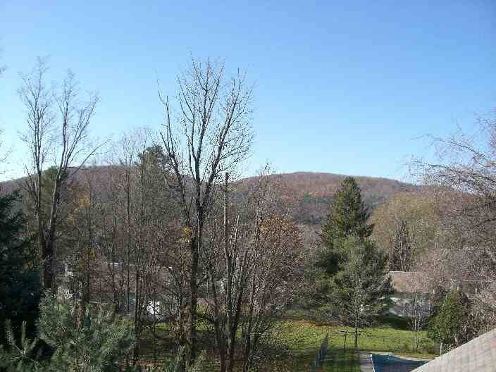 Click for larger photo
