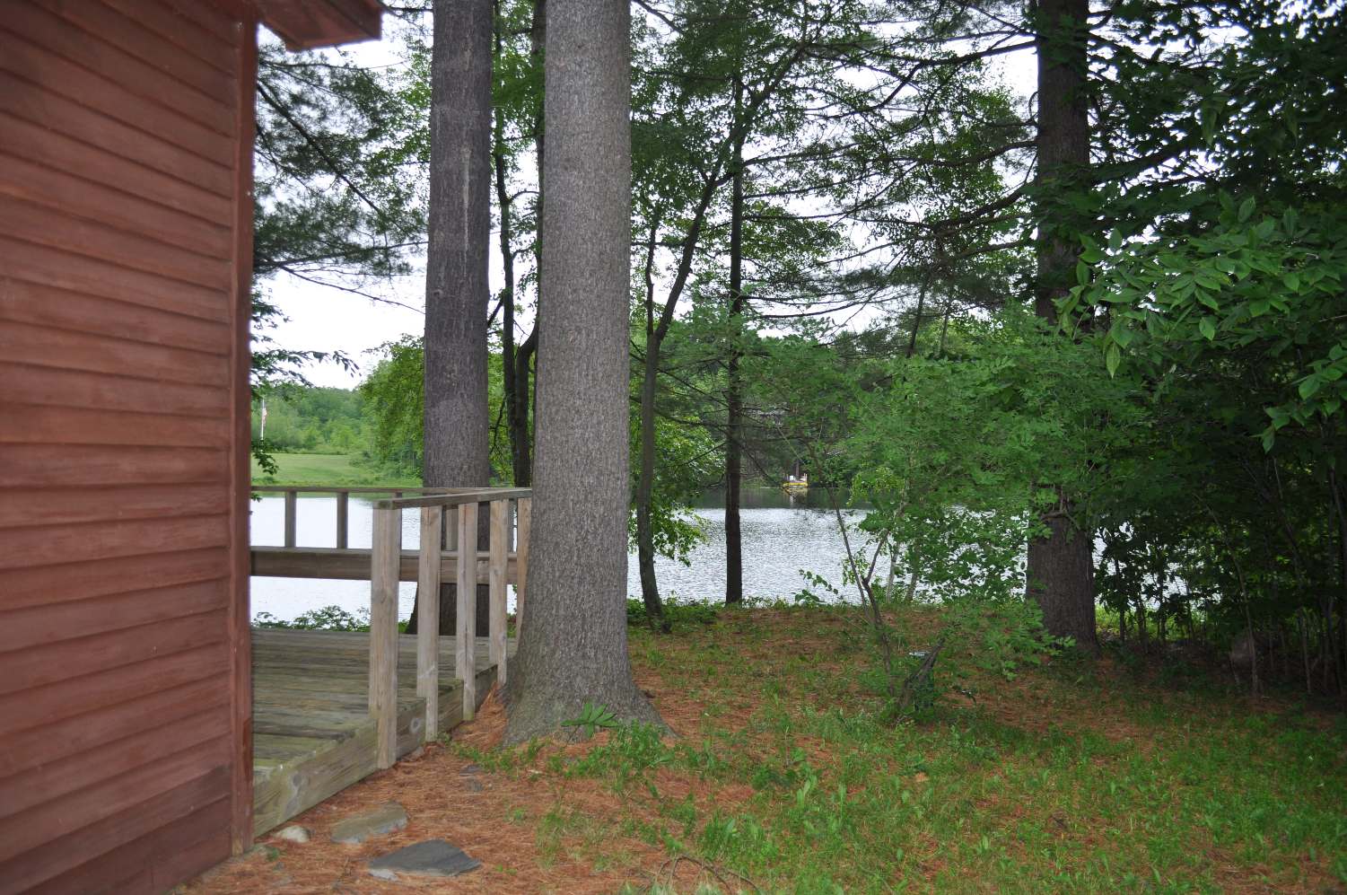 Click for larger photo