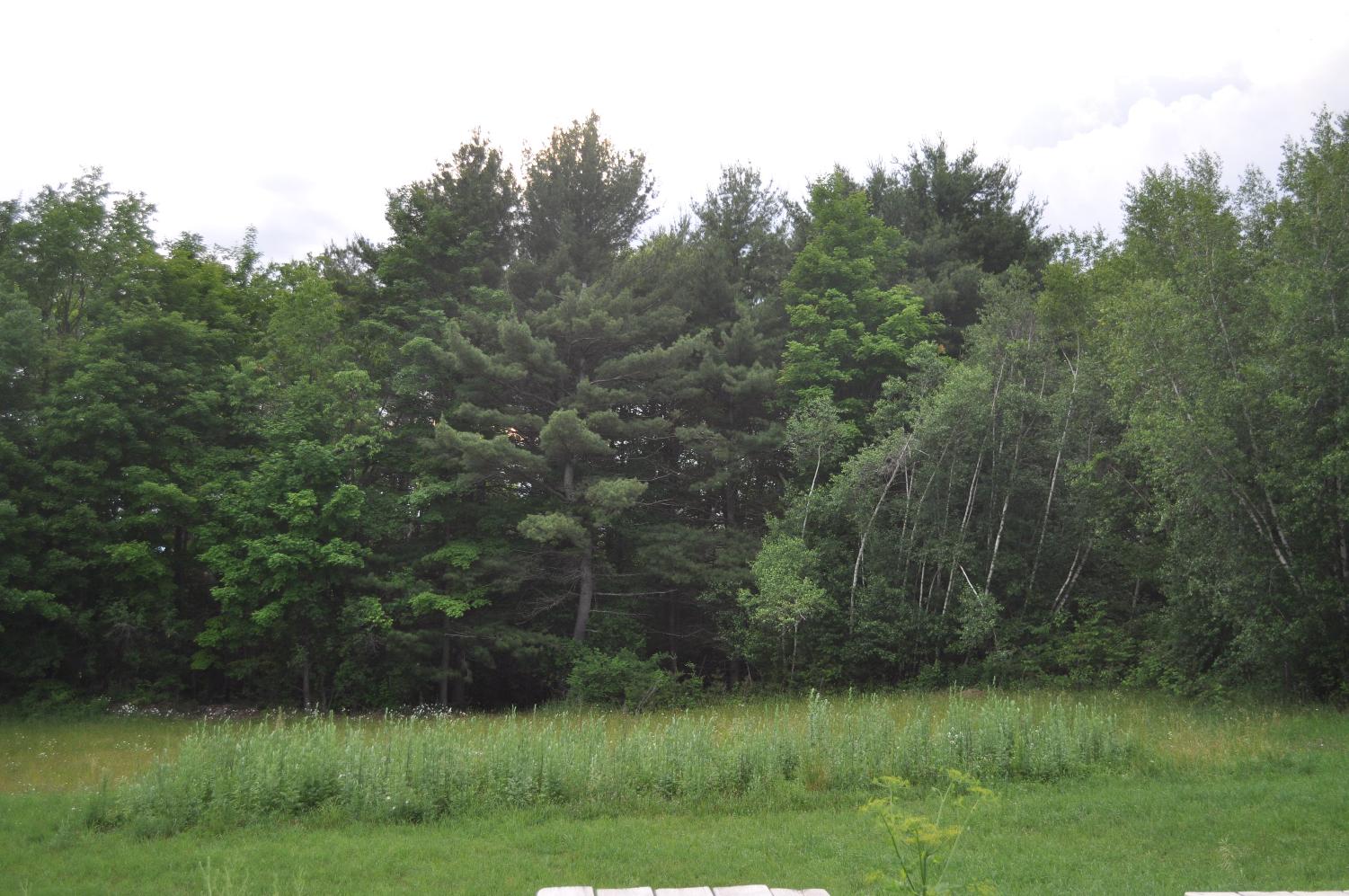 Click for larger photo
