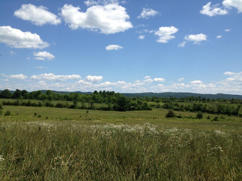 Click for larger photo