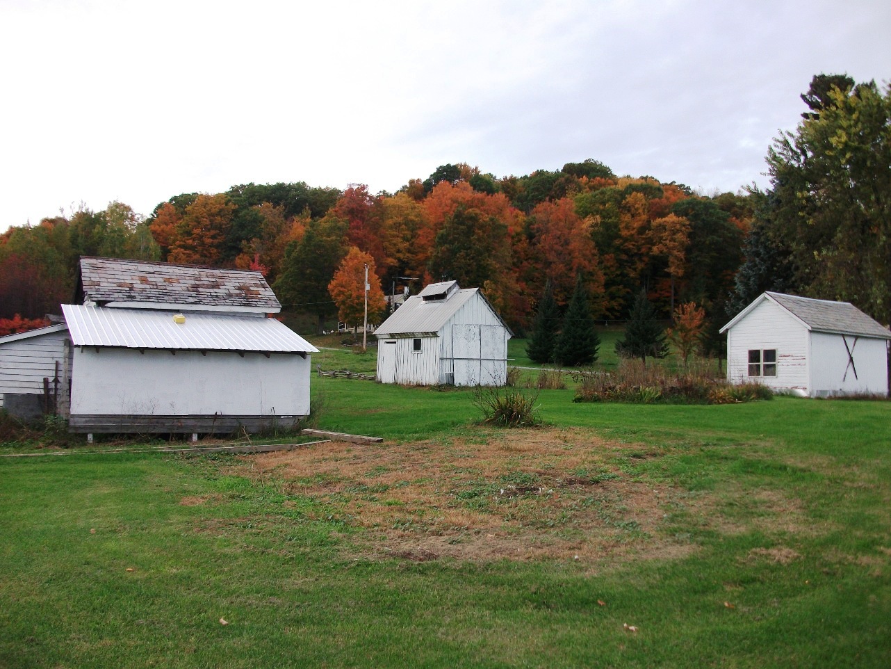 Click for larger photo