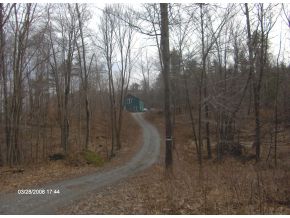 Click for larger photo