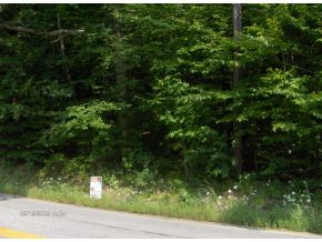 Click for larger photo