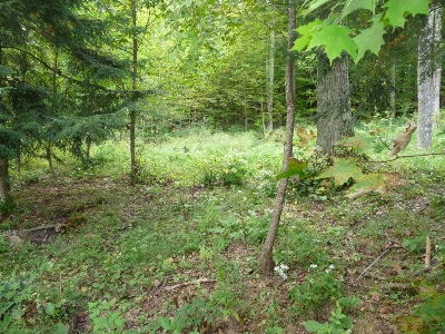 Click for larger photo