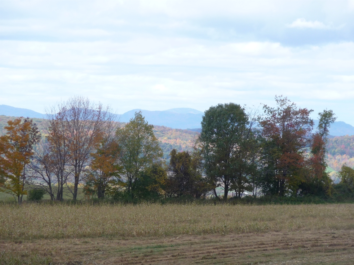 Click for larger photo