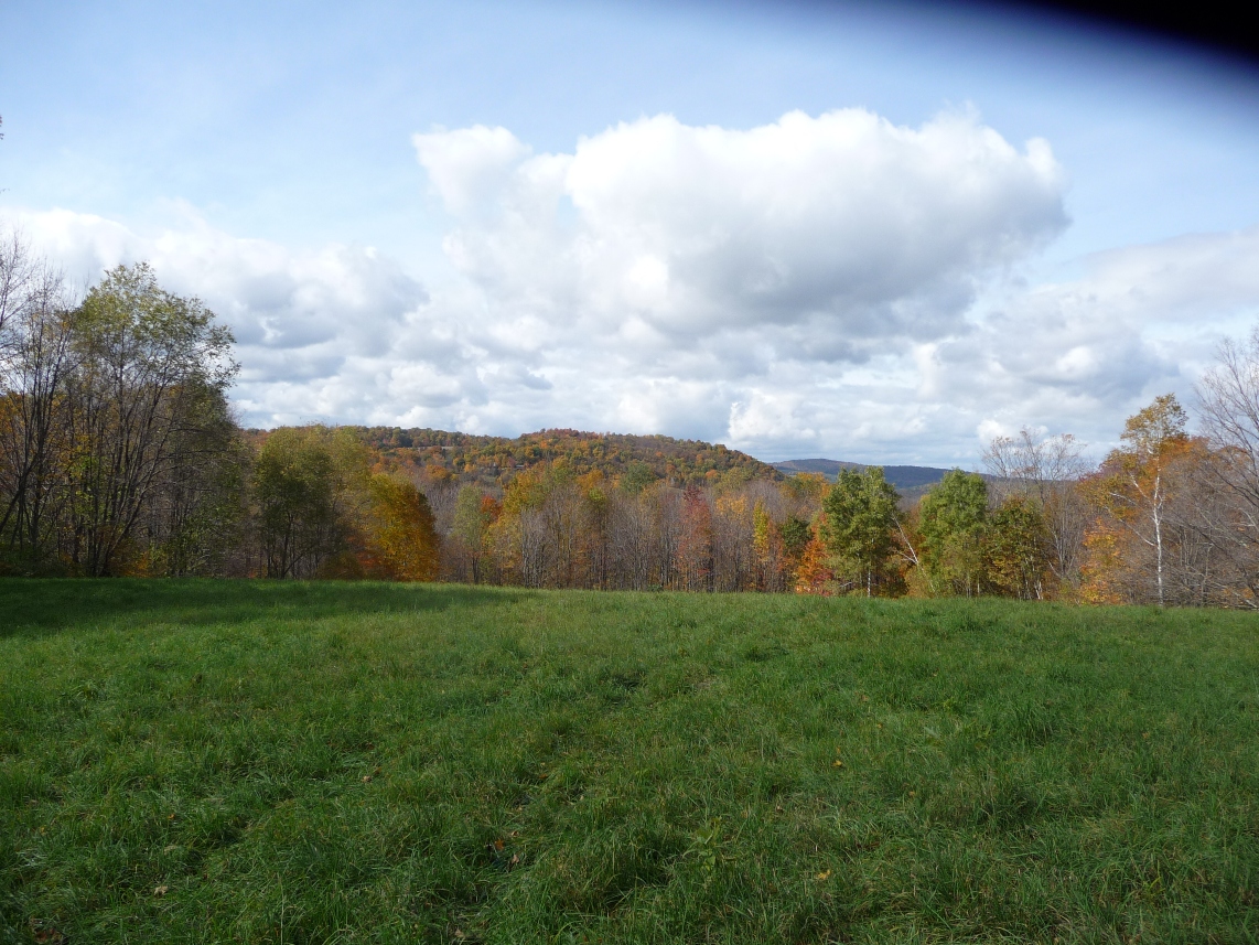 Click for larger photo