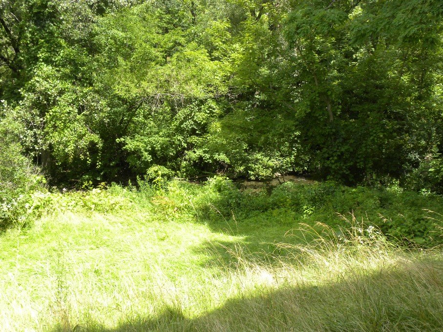 Click for larger photo