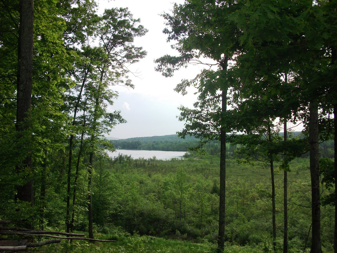 Click for larger photo