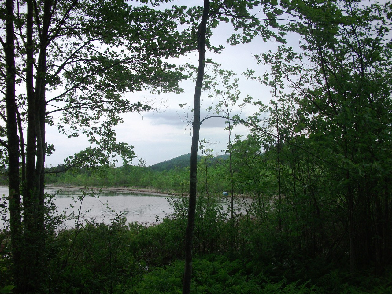 Click for larger photo