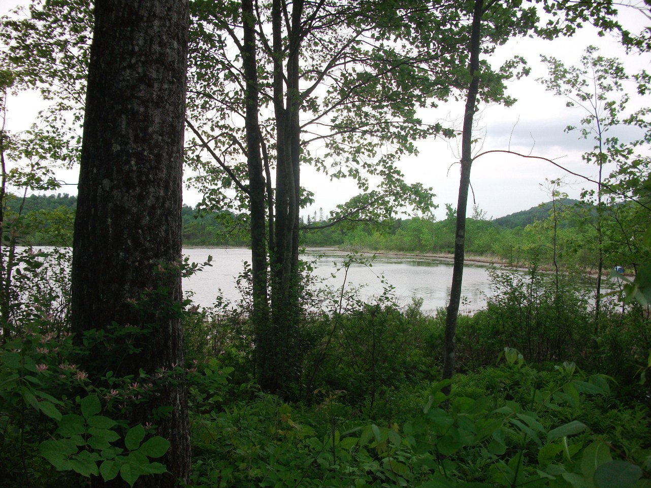 Click for larger photo