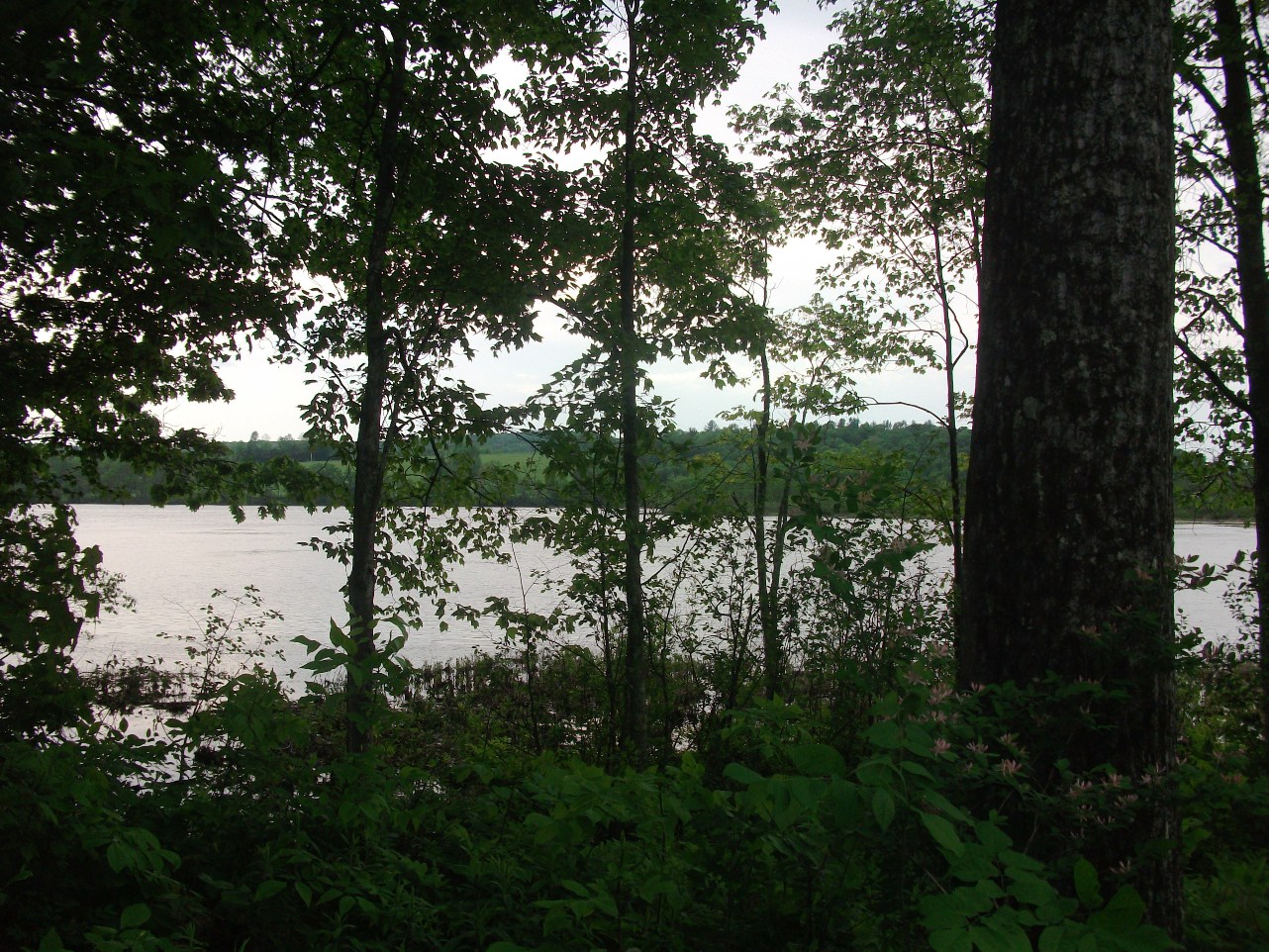 Click for larger photo