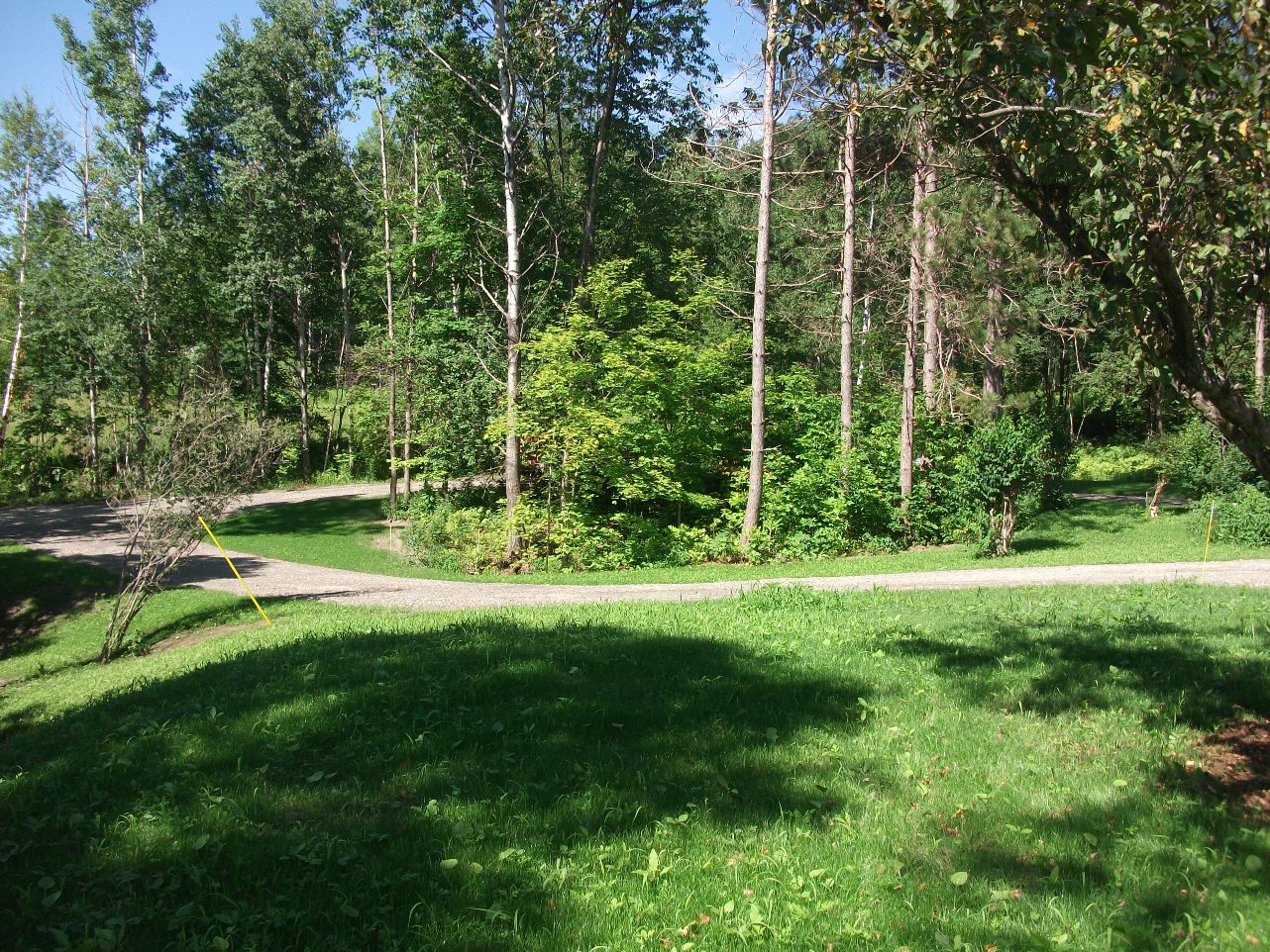 Click for larger photo