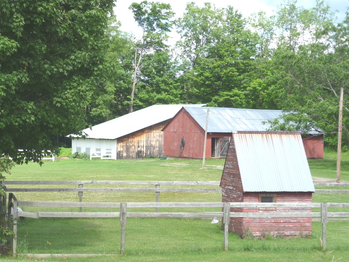 Click for larger photo