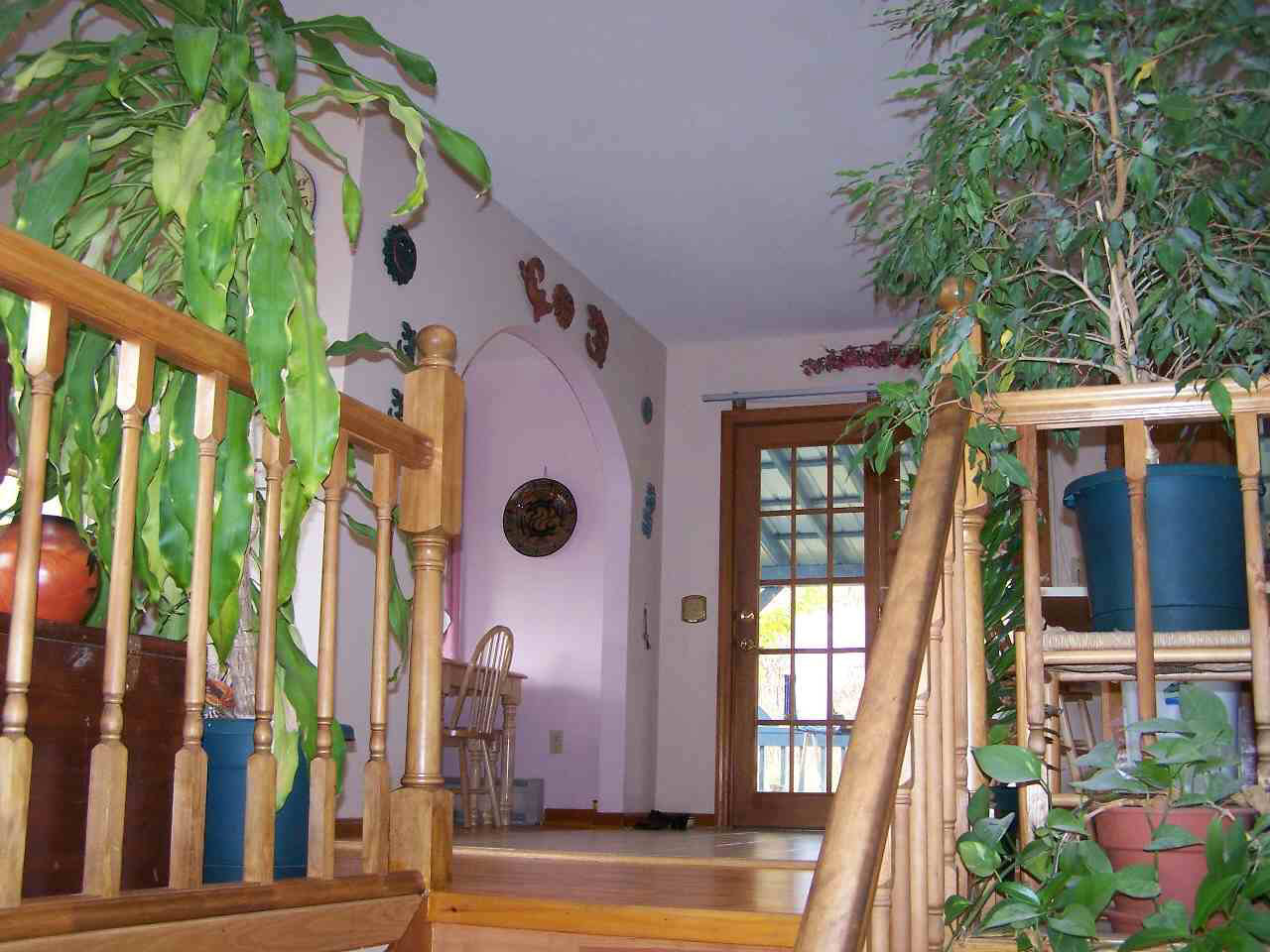 Click for larger photo