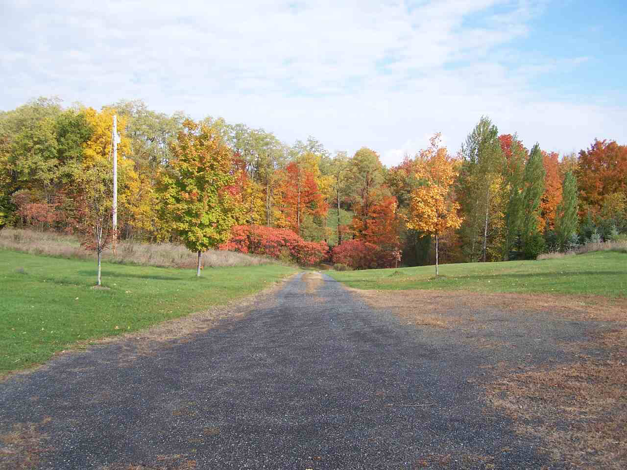 Click for larger photo