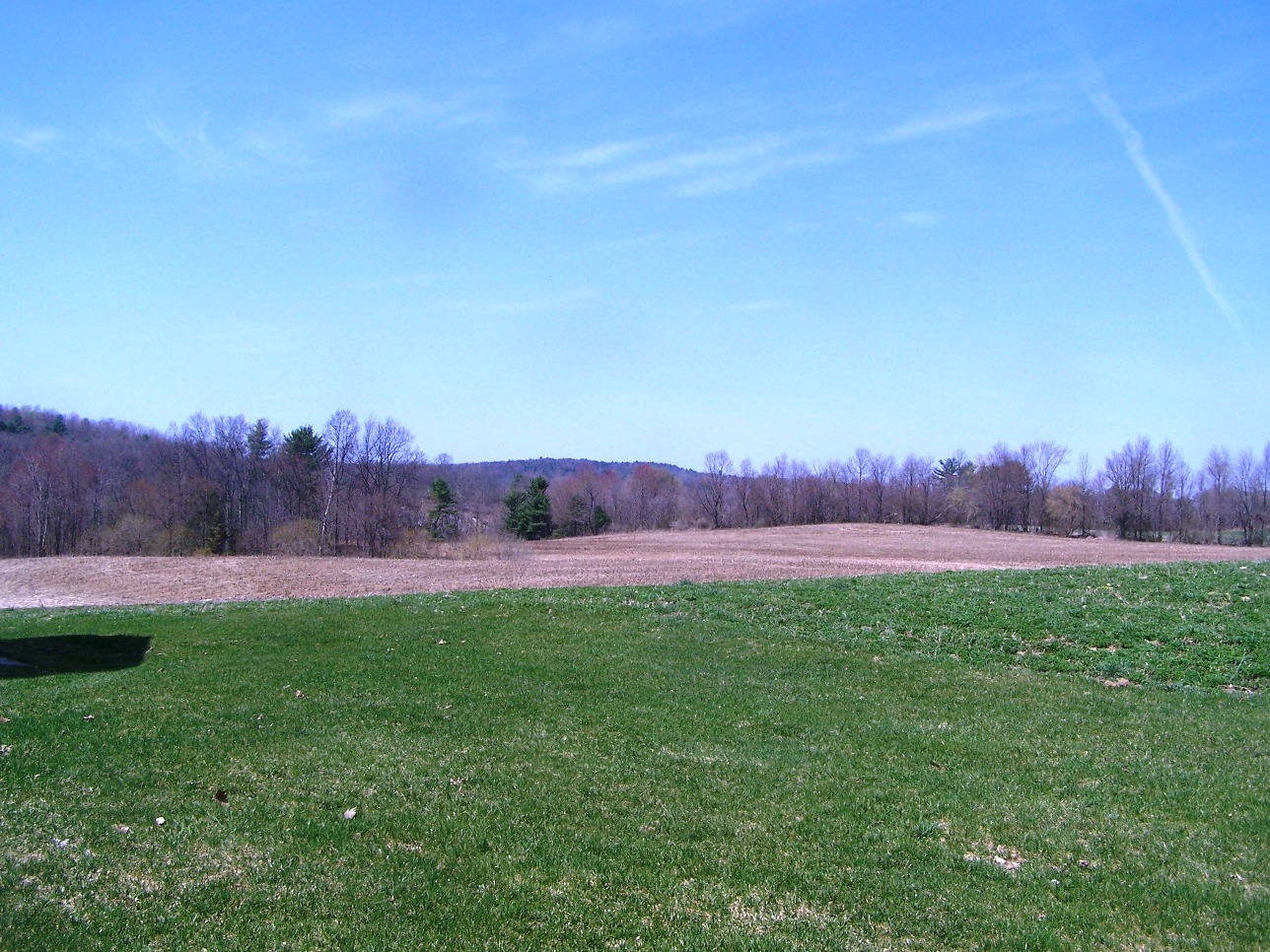 Click for larger photo