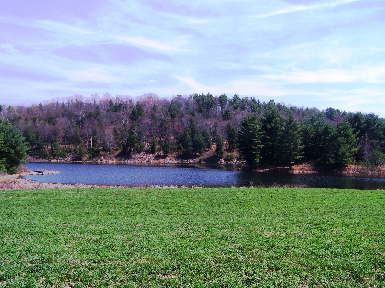 Click for larger photo