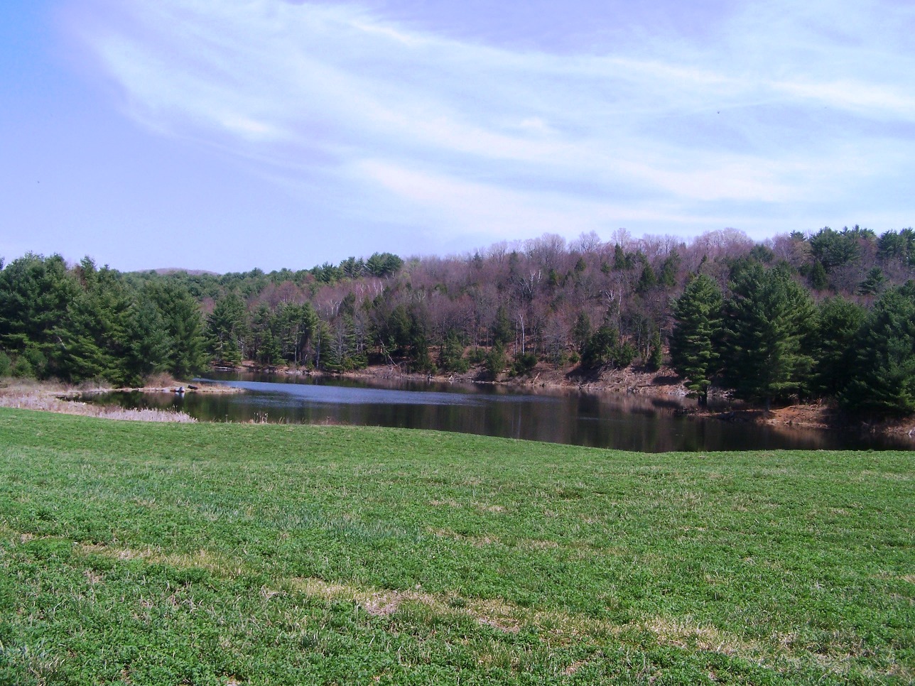 Click for larger photo