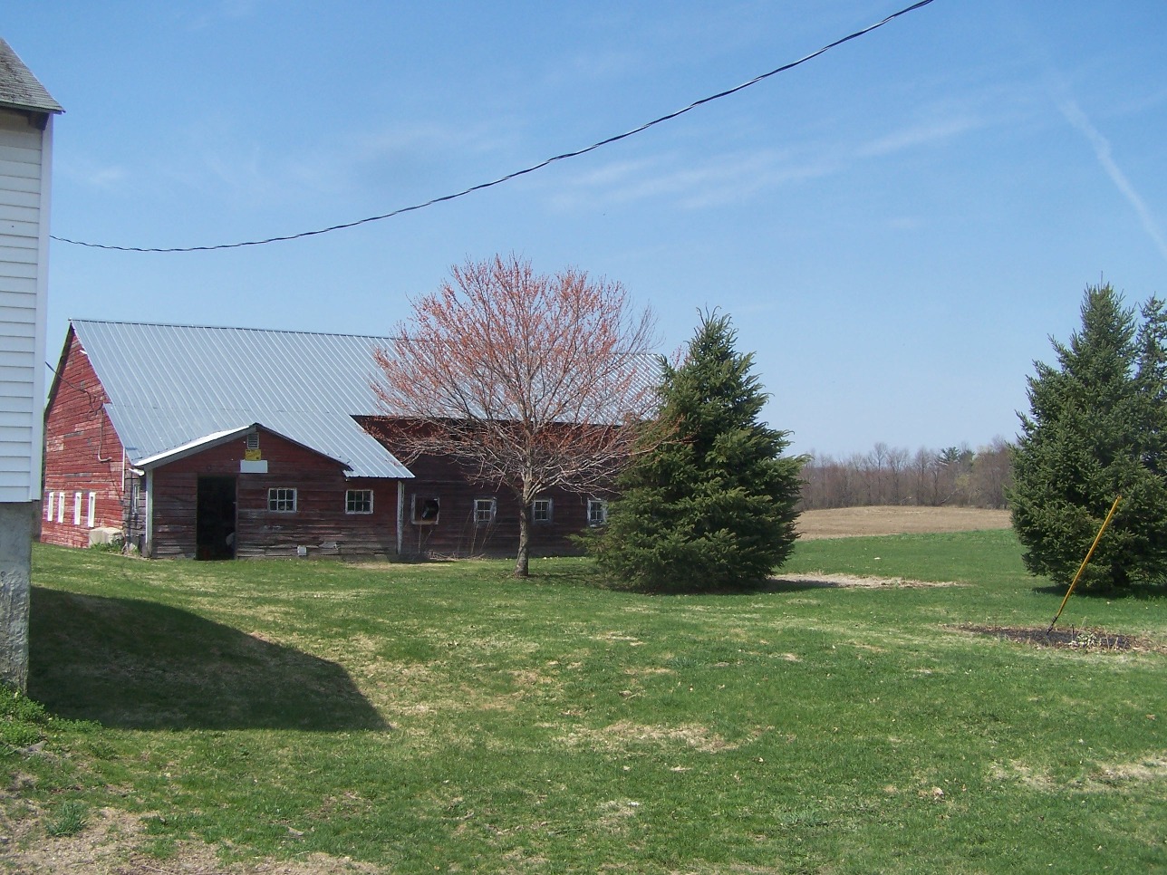 Click for larger photo