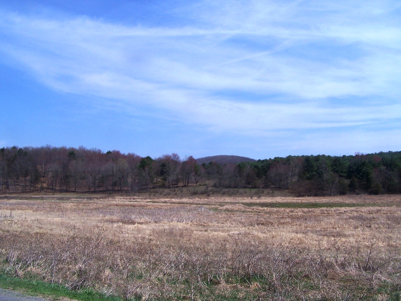 Click for larger photo