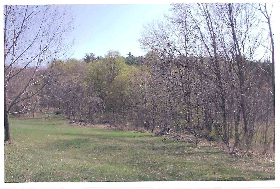 Click for larger photo