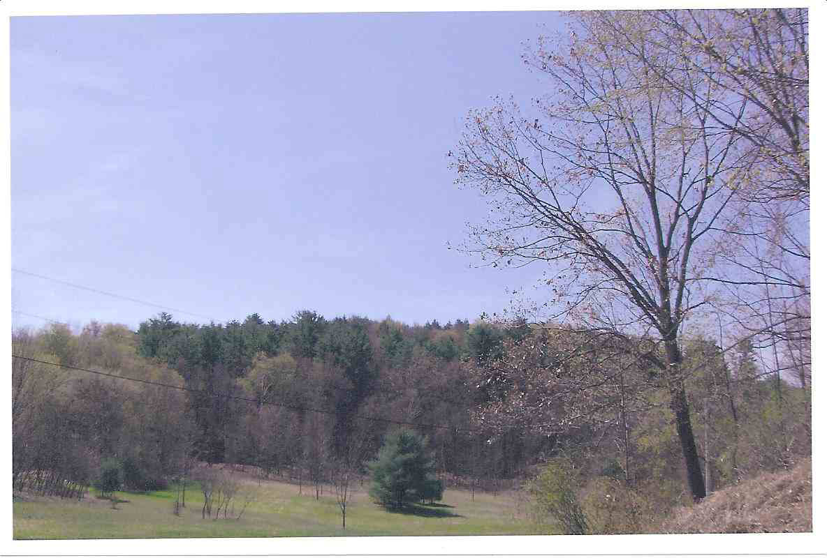 Click for larger photo