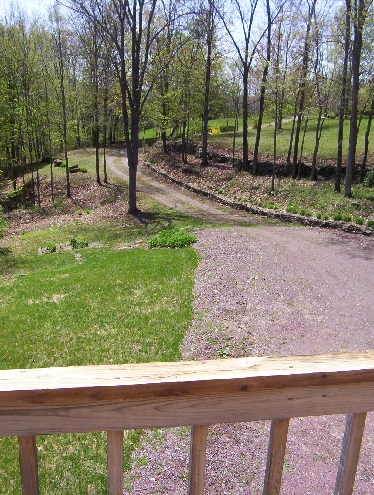 Click for larger photo