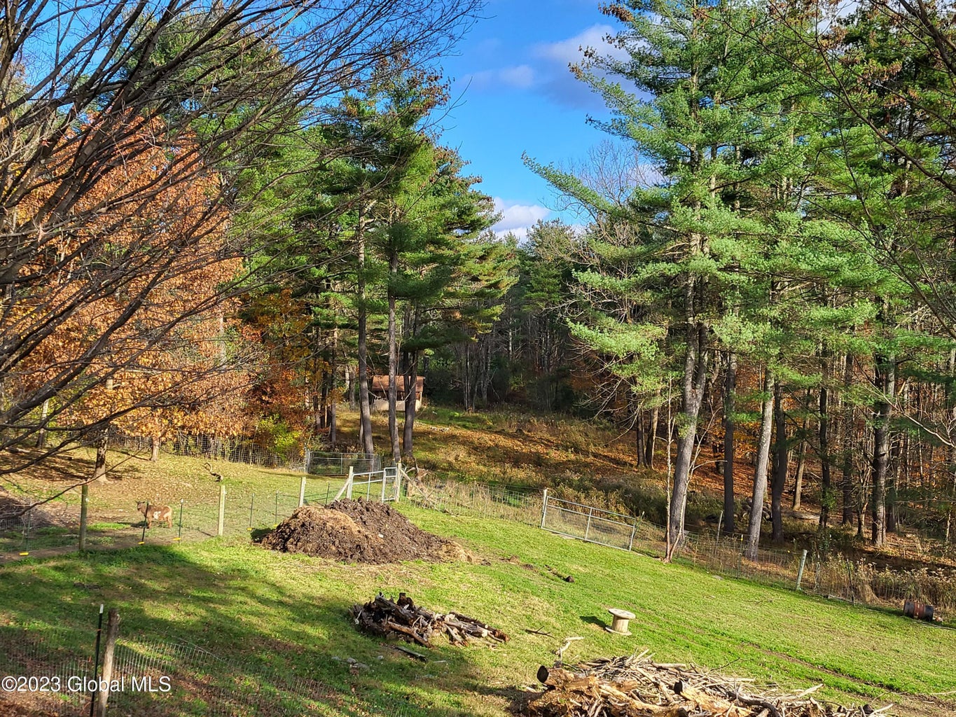 Click for larger photo